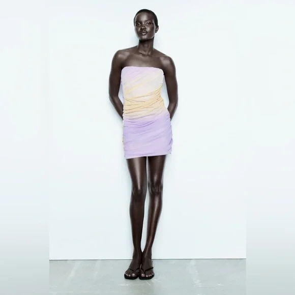 Zara Lilac & Beige Ruched Draped Mesh Mini Dress - Picture 3 of 15